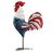Mid coast chook